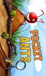 download Pocket Ants apk
